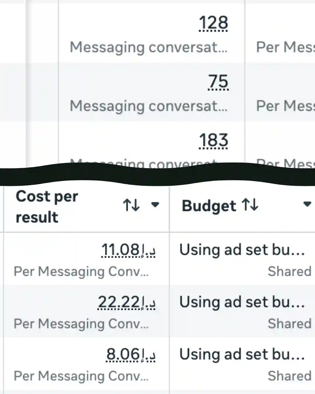 FouFouPuppies Meta Ads dashboard